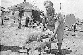 Grandma Weitzel feeding lambs somewhere in West Nebraska 